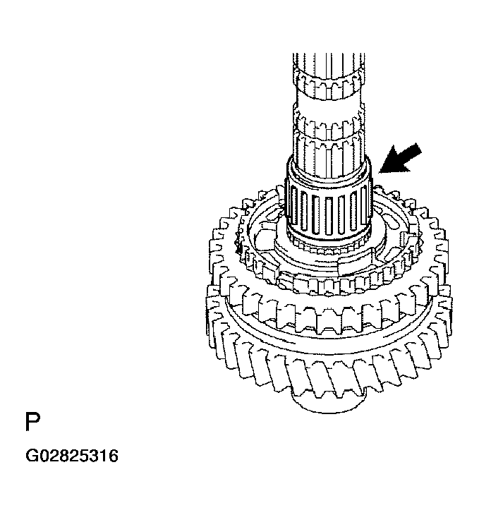 G02825316
