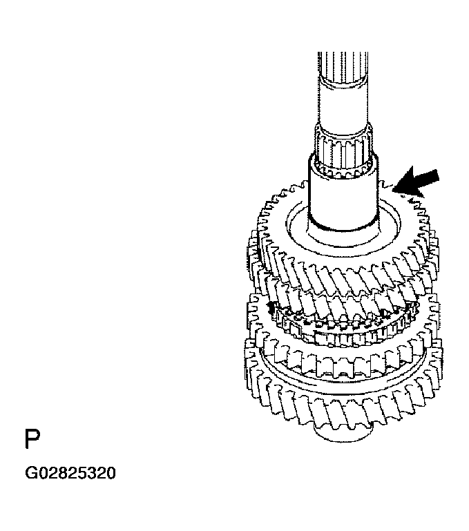 G02825320
