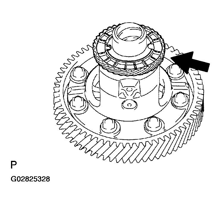 G02825328