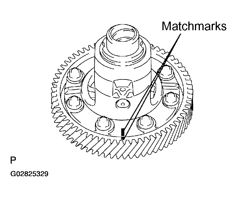 G02825329