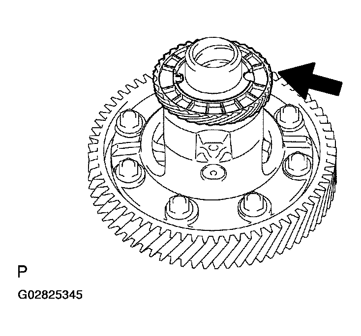 G02825345