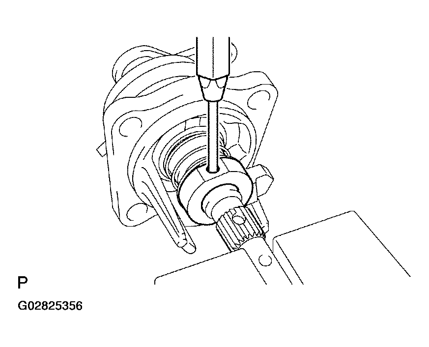 G02825356