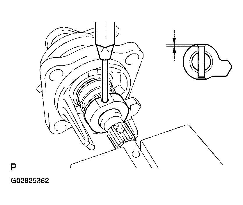 G02825362