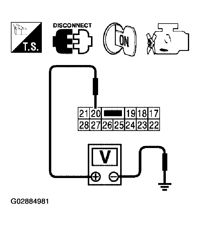 G02884981