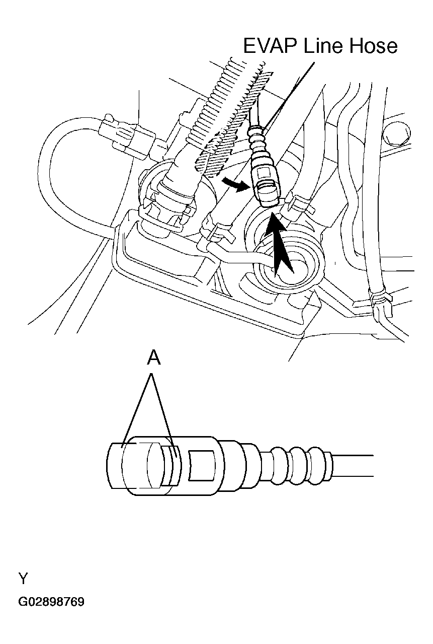 G02898769