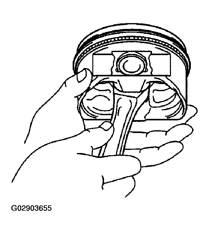 G02903655