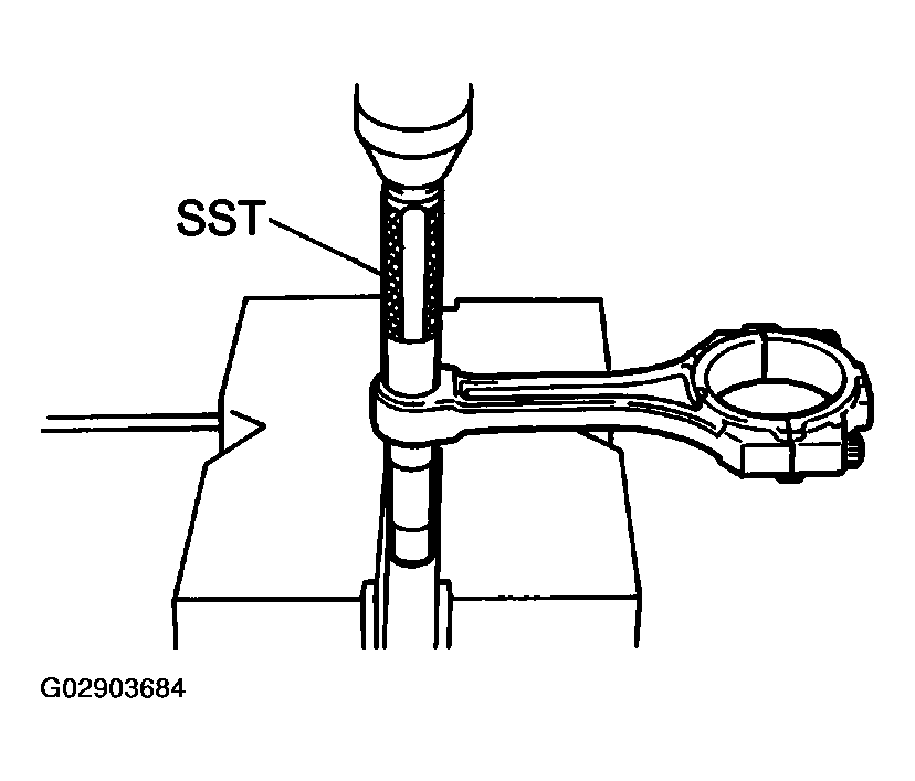 G02903684