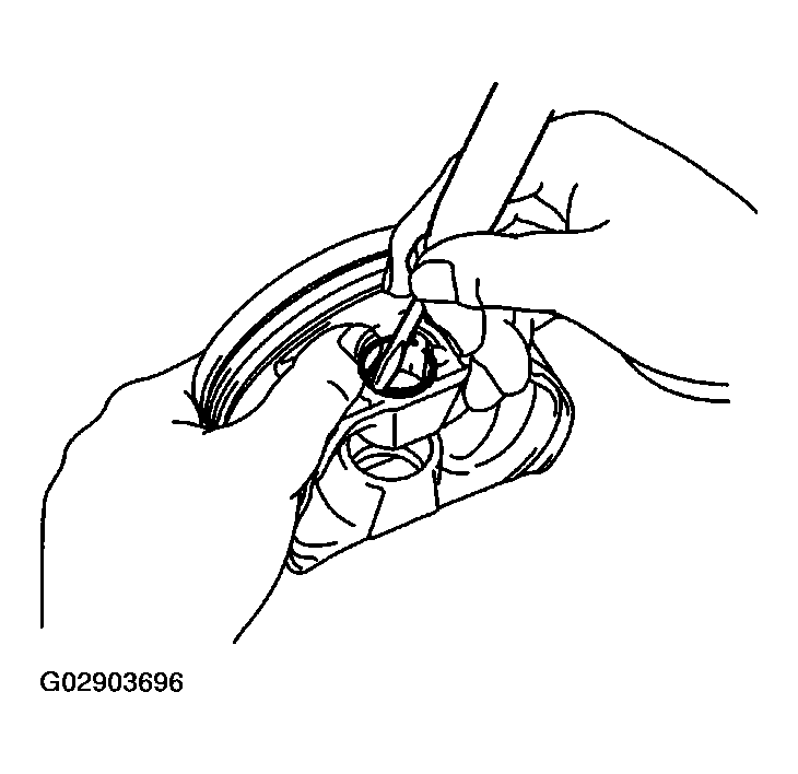 G02903696