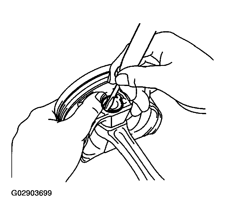 G02903699