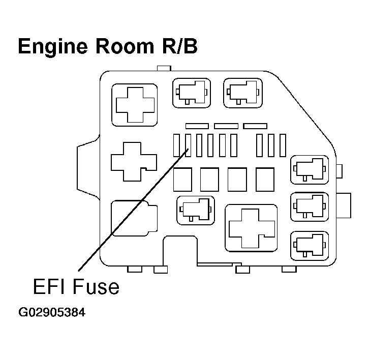 G02905384