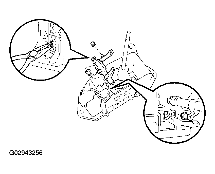 G02943256
