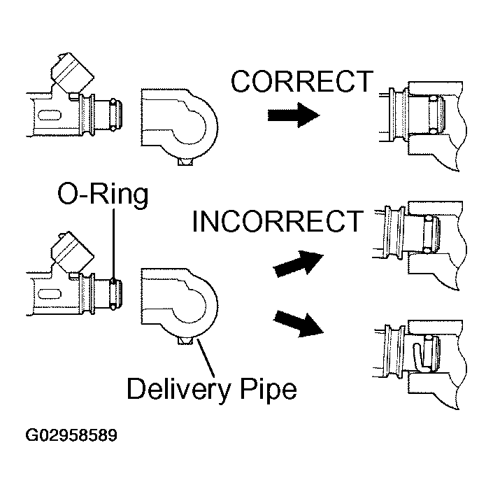 G02958589