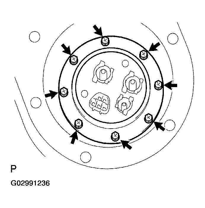 G02991236