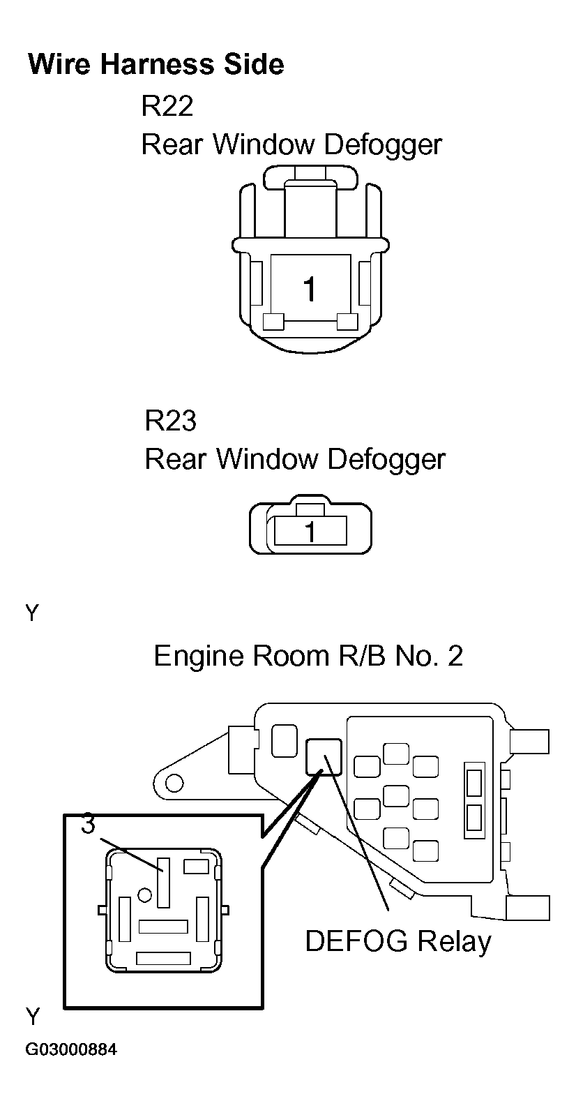G03000884