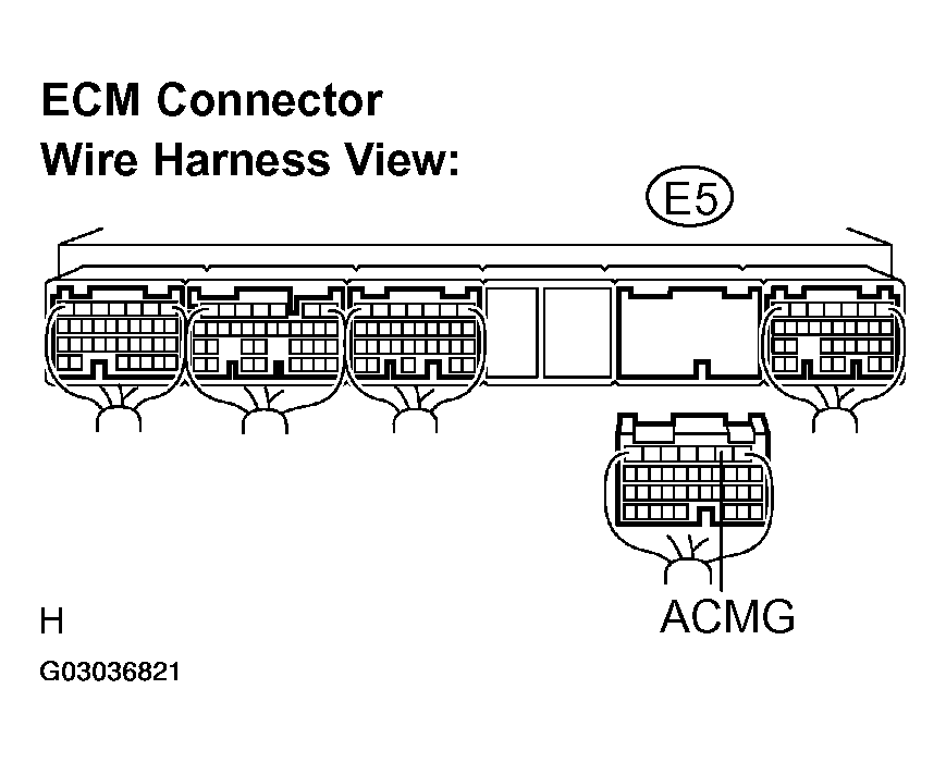 G03036821