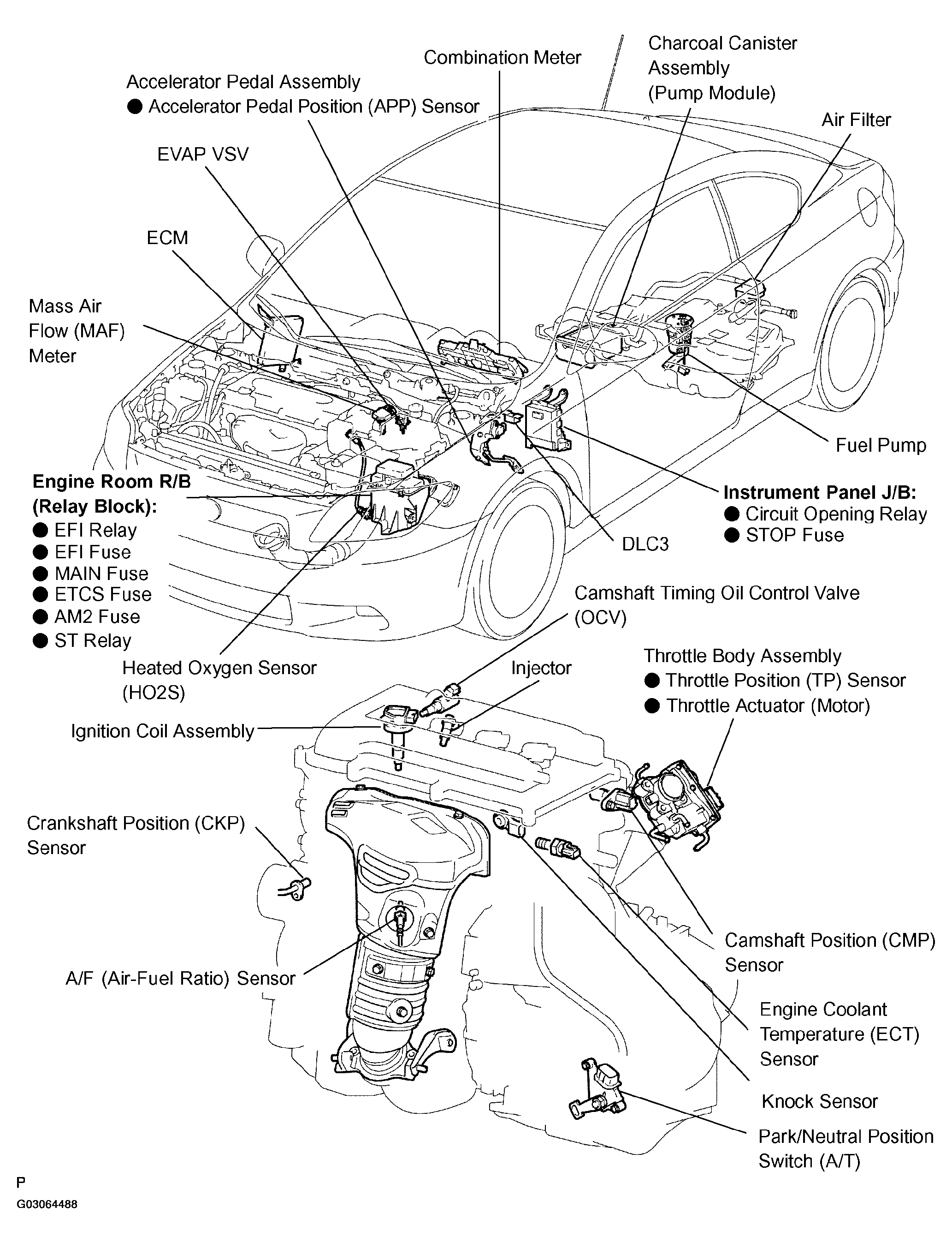 G03064488