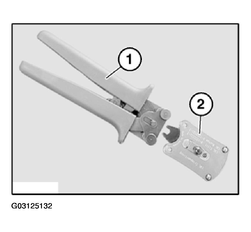 G03125132