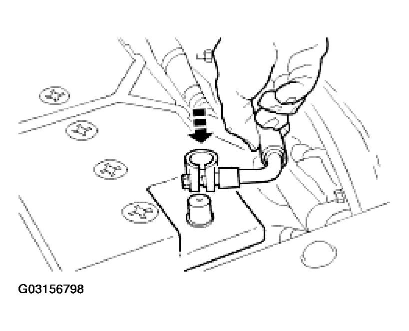 G03156798