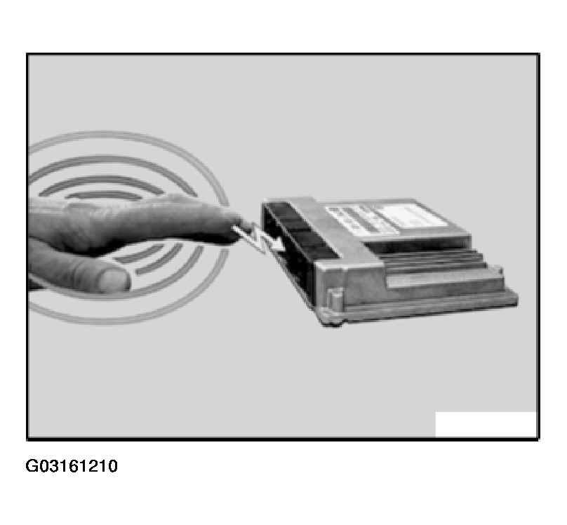 G03161210