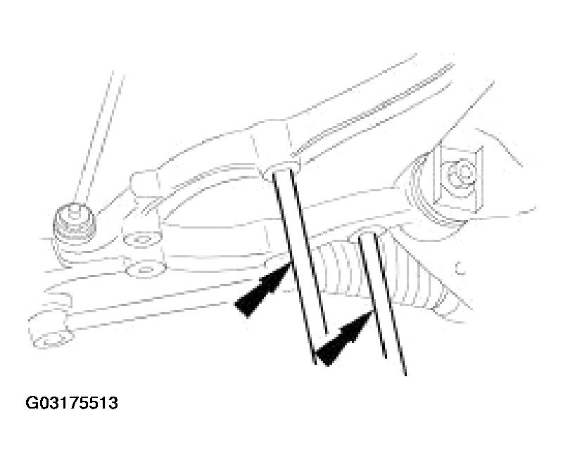 G03175513