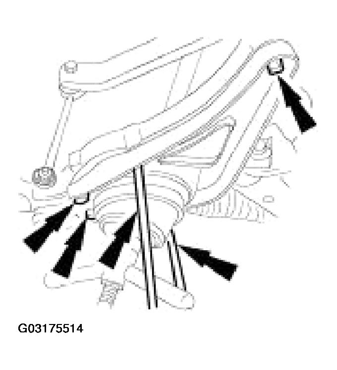 G03175514