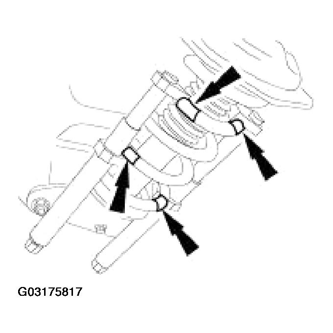 G03175817