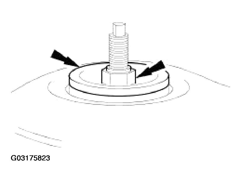 G03175823