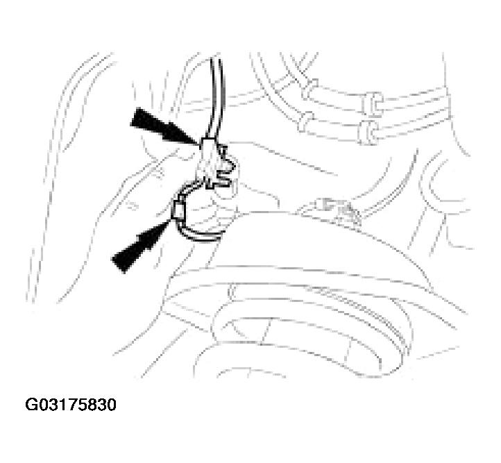 G03175830