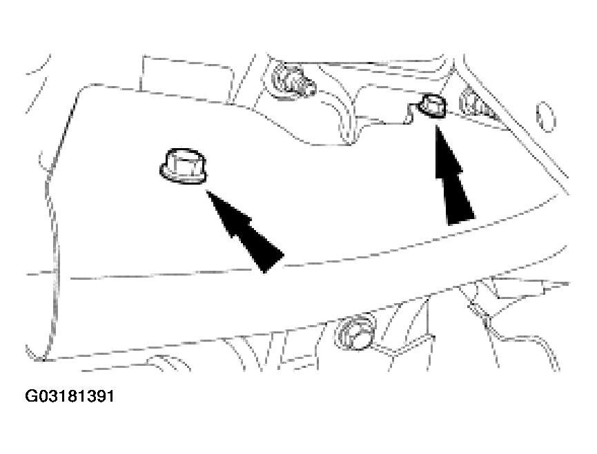 G03181391