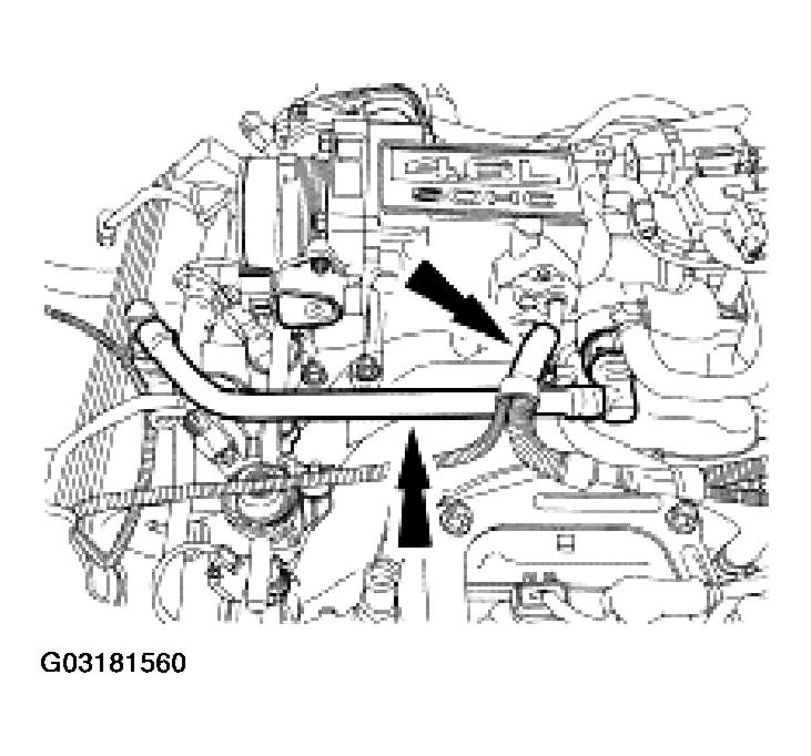 G03181560