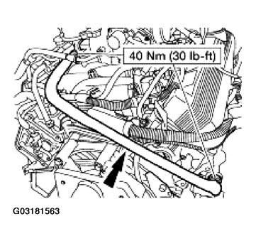G03181563