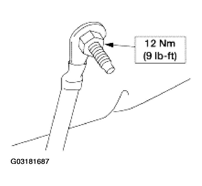 G03181687