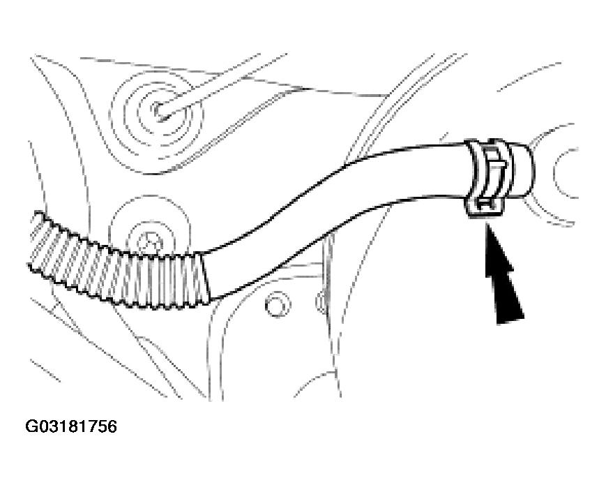 G03181756