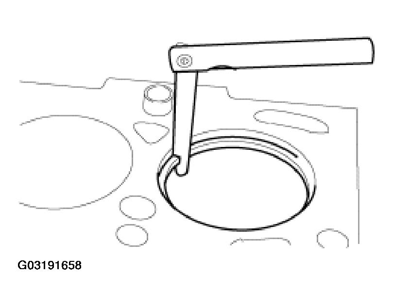 G03191658