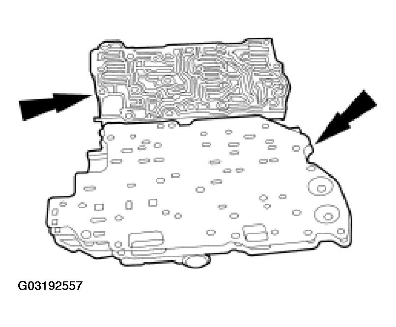 G03192557