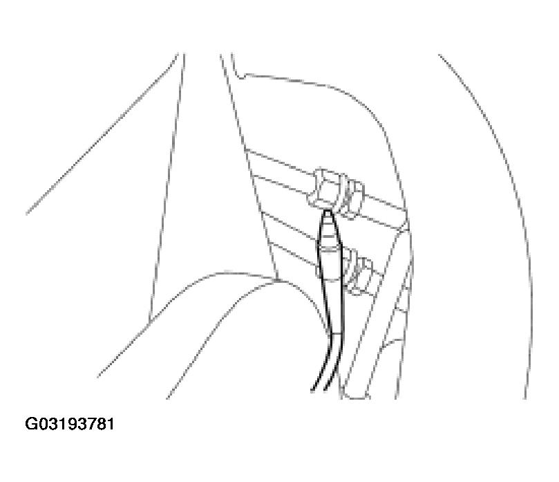 G03193781