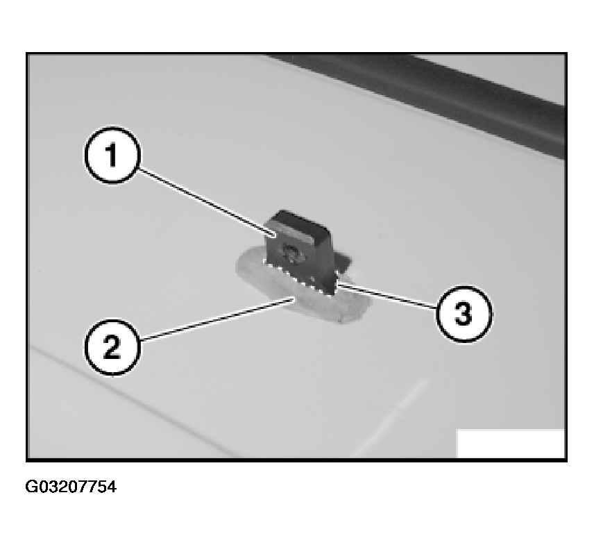 G03207754
