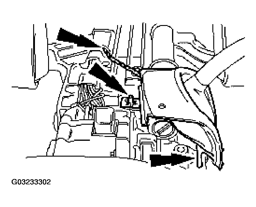 G03233302