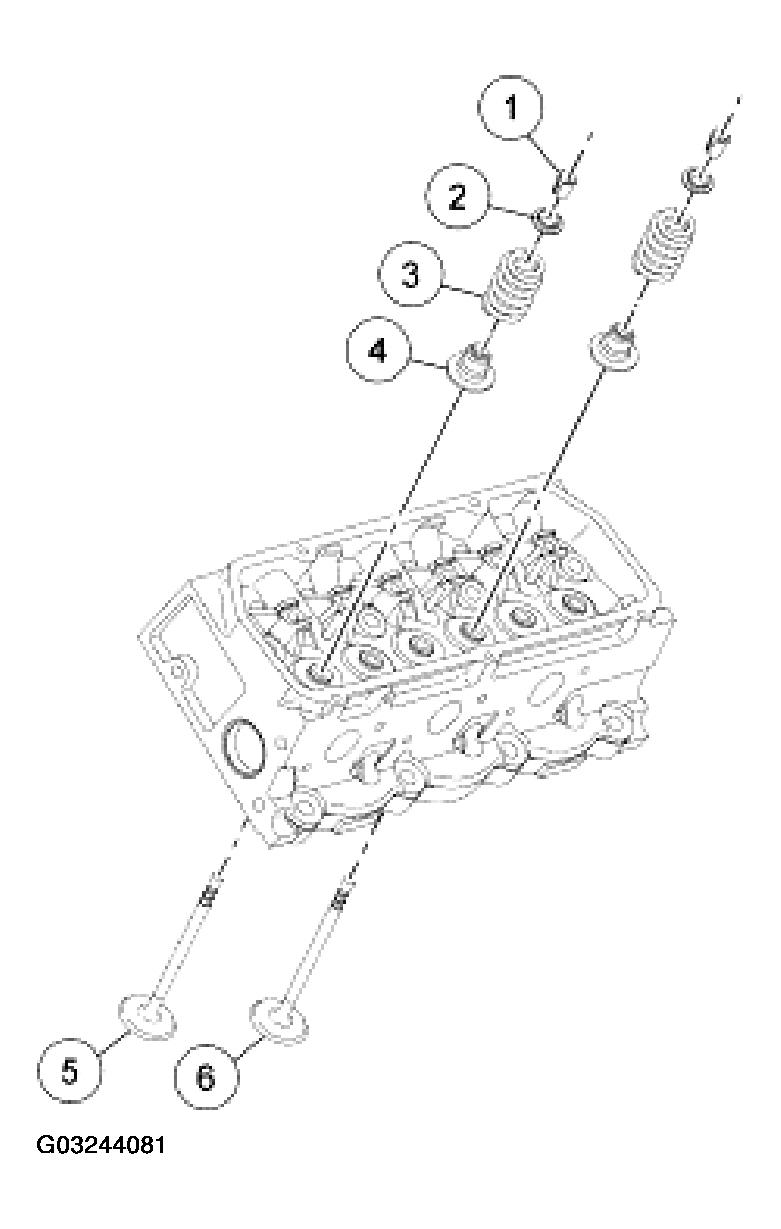 G03244081