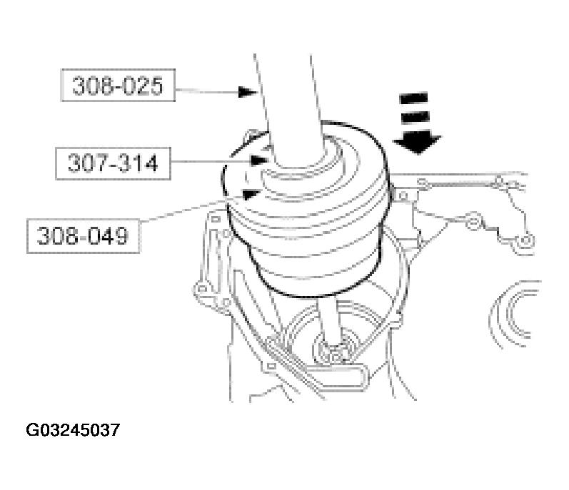 G03245037