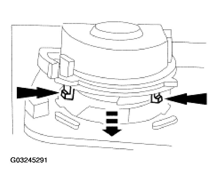 G03245291