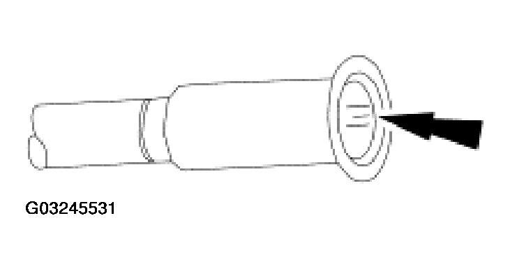 G03245531