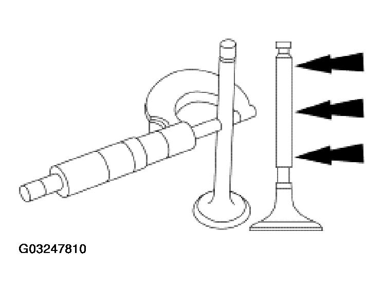 G03247810