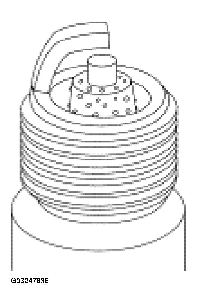 G03247836