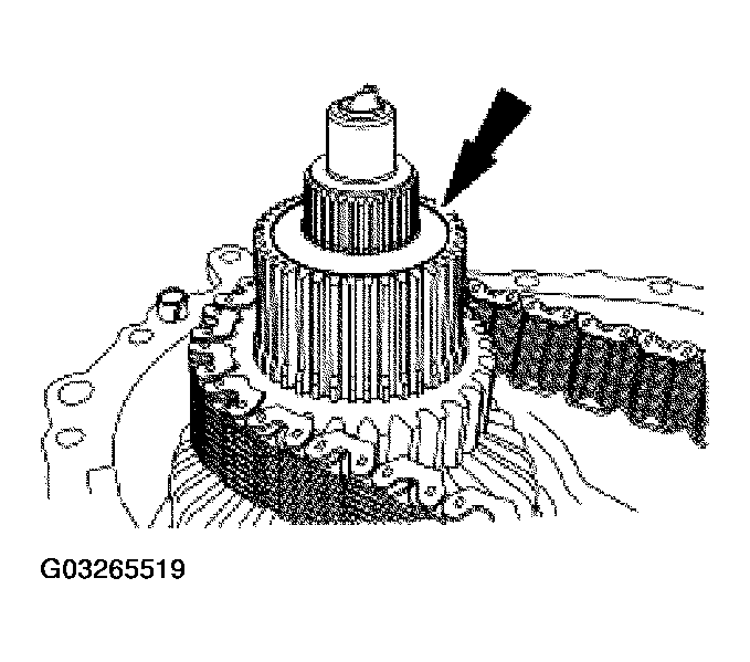 G03265519