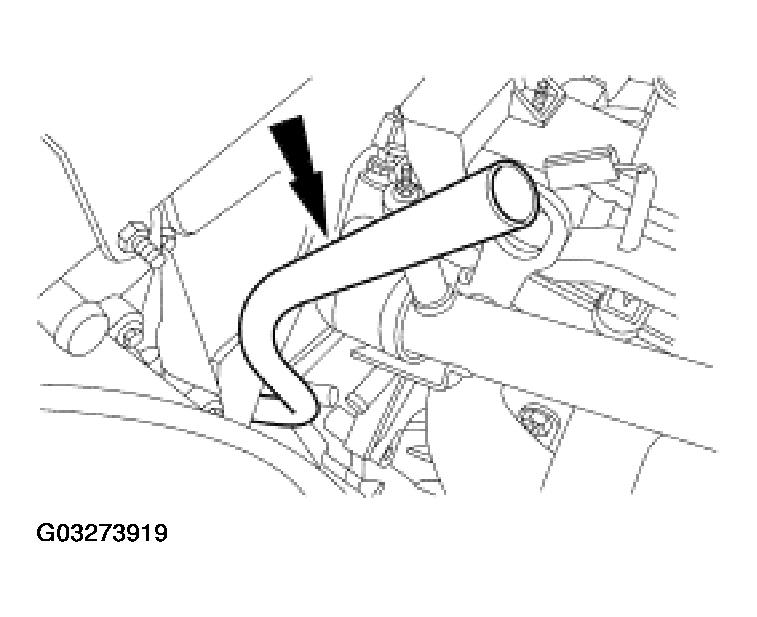 G03273919