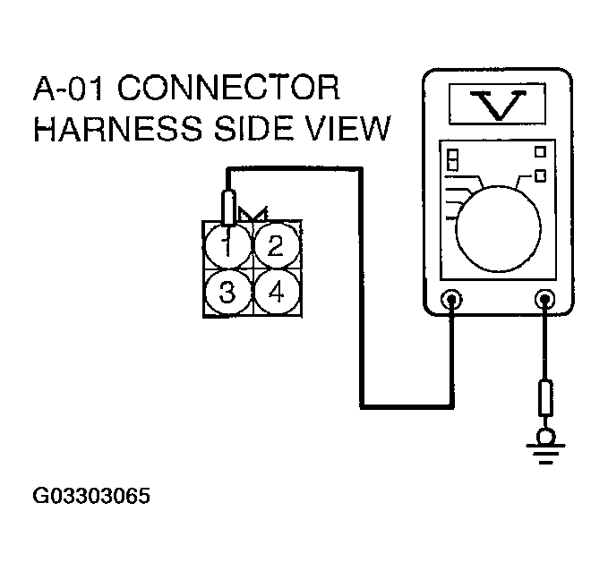 G03303065