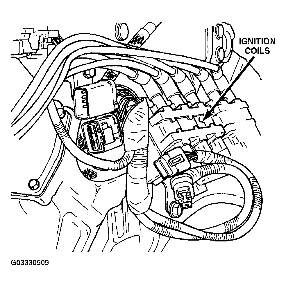 G03330509