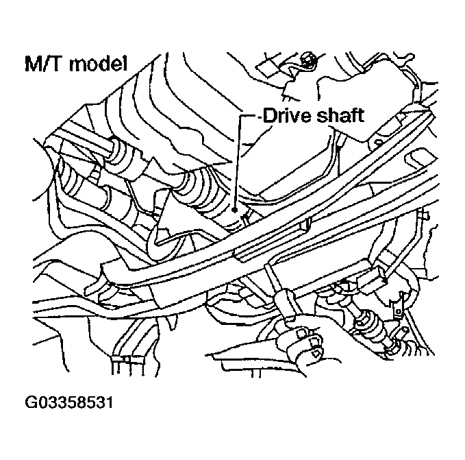 G03358531