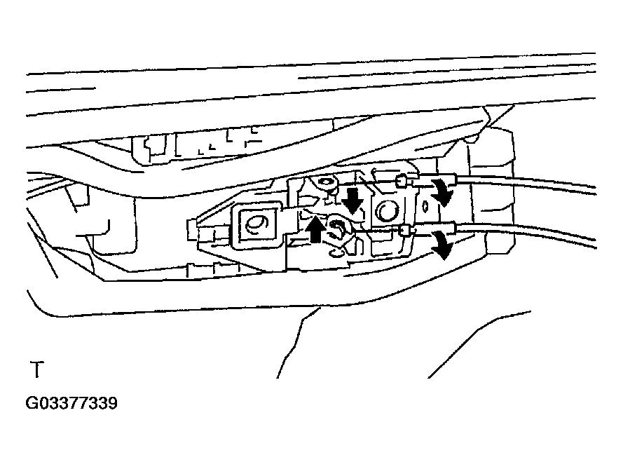 G03377339